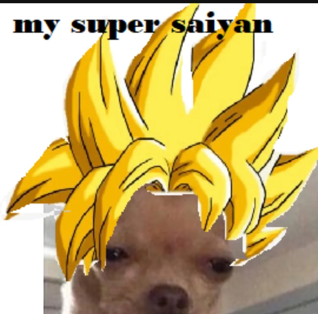 Super legendary galactic saiyaan