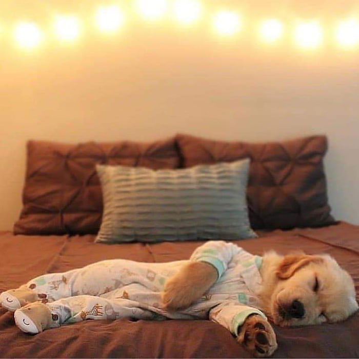 Sweet dreams