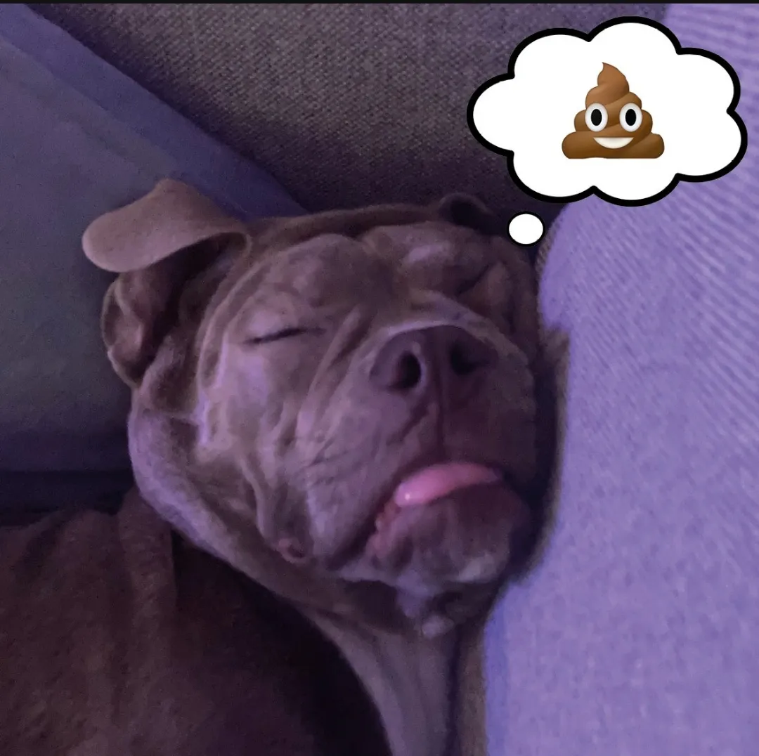 Sweet dreams
