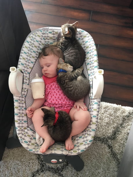 Taking a nap here