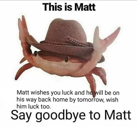 Thank you Matt and good luck.