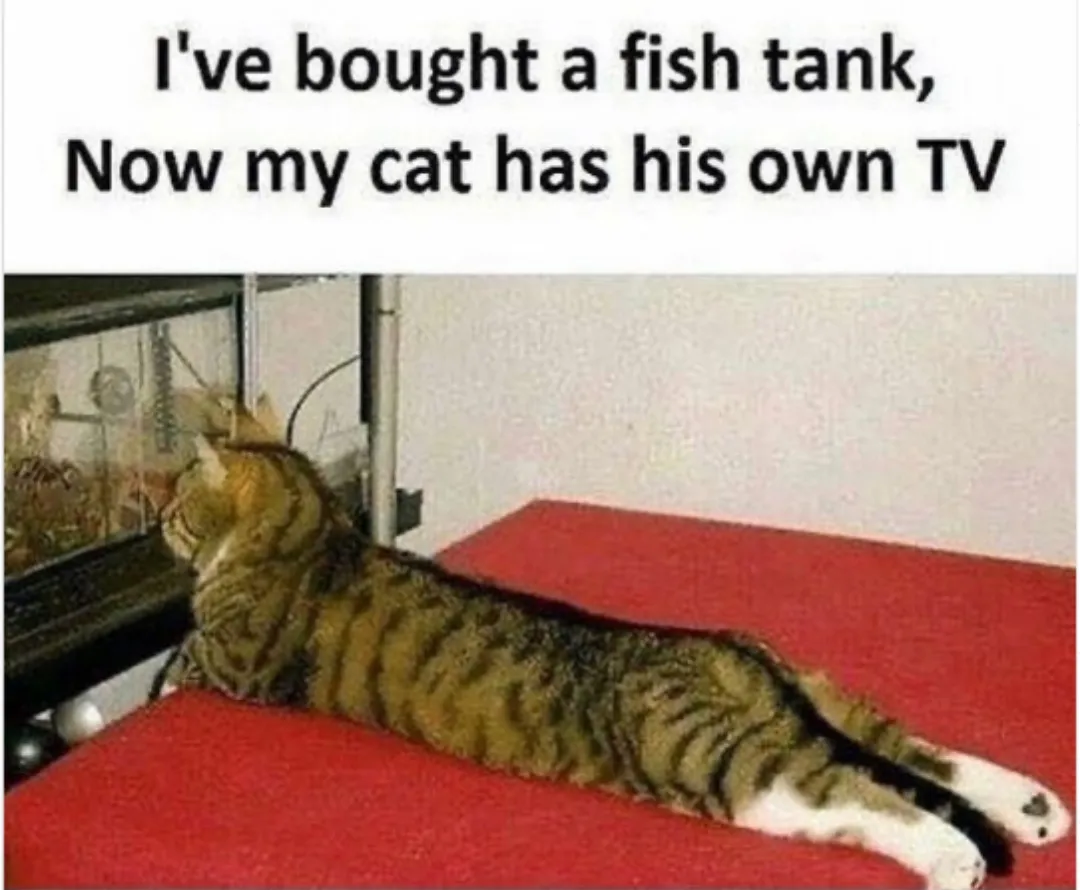 That's cute af