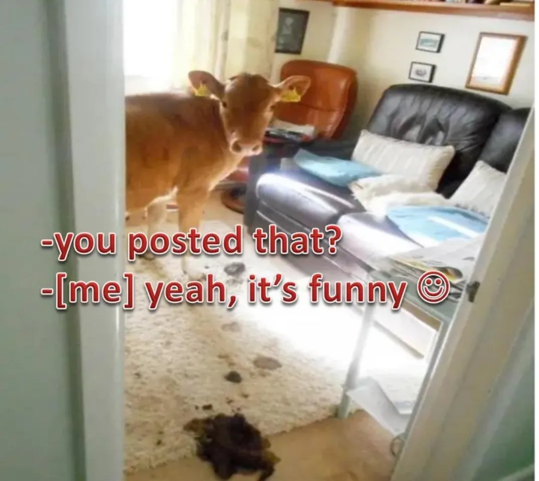That's got to be funny