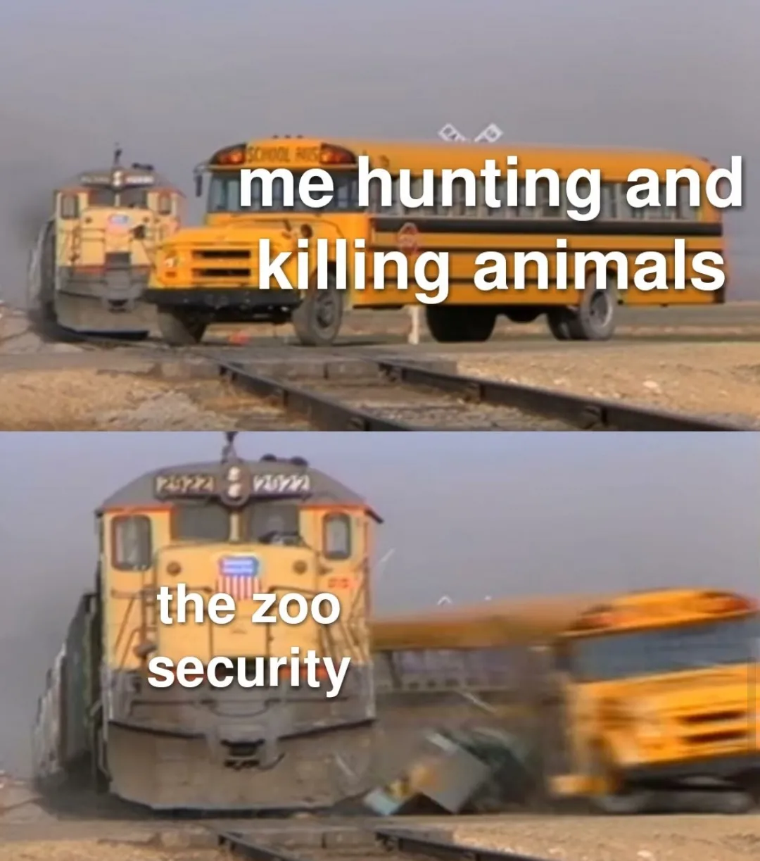 That's what zoo guards are for