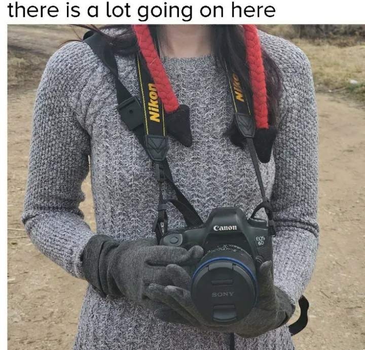 The photo may be triggered to some