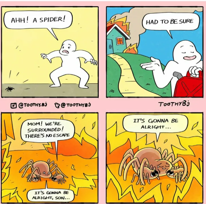 The spider