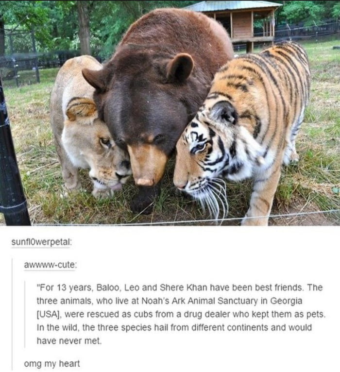 Their names had me