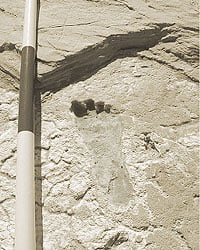 This foot print is 20000 years old and I've heard said that who made this ran faster than Usain Bolt