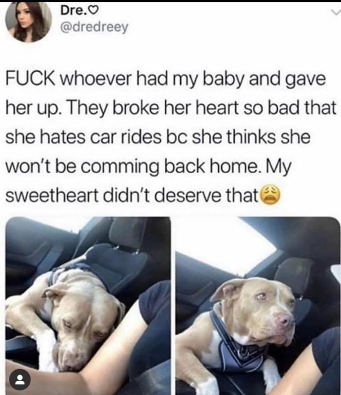 This is too cute