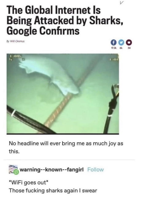 Those sharks again