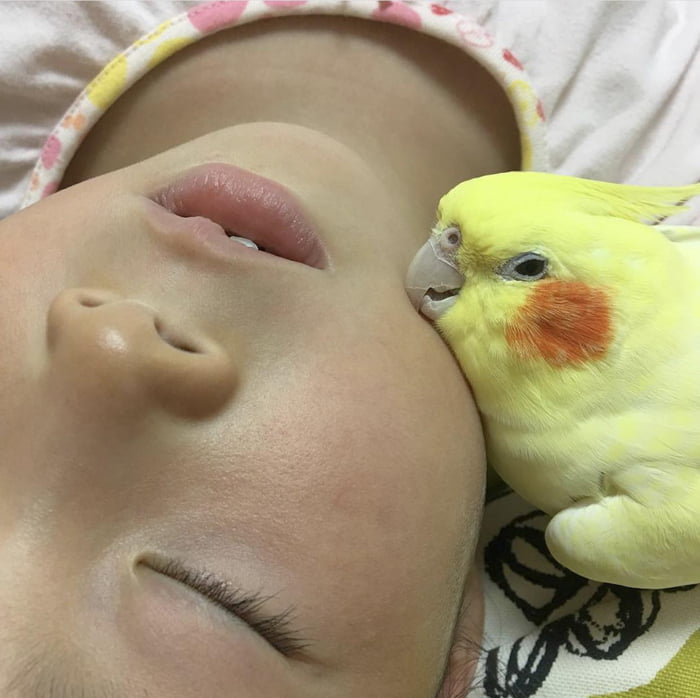 Time for a nap