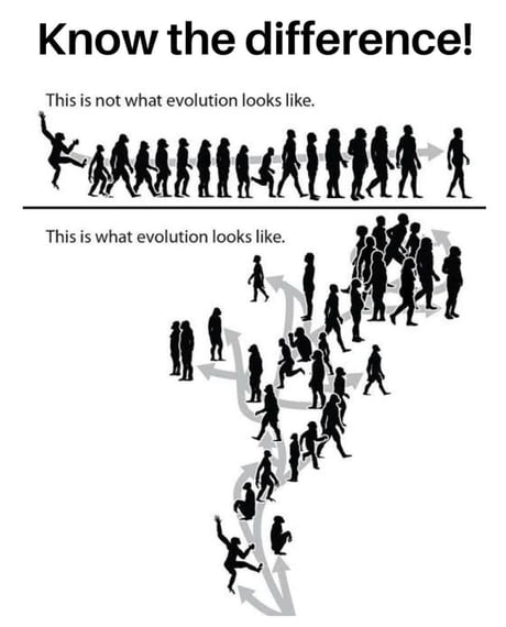 Today I learned