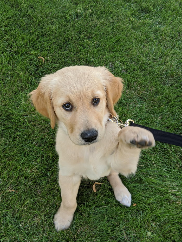 Treat pls ??