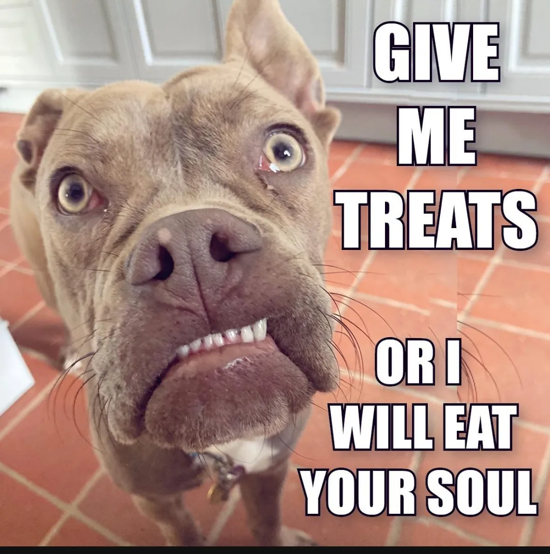 Treats please