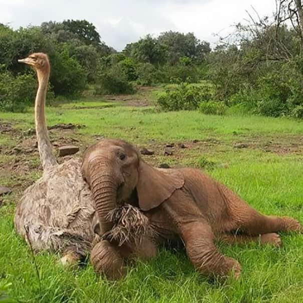 Two friends.