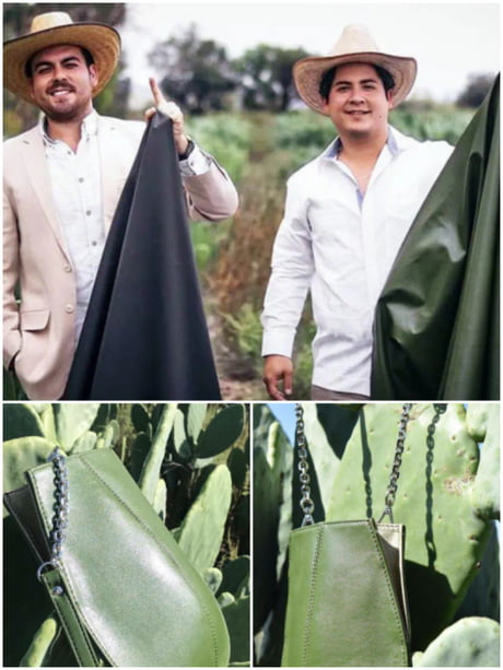 Two men Adri&aacute;n Velarde &amp; Marte C&aacute;zarez Created &quot;Leather&quot; from Cactus to save Animals and the Environment