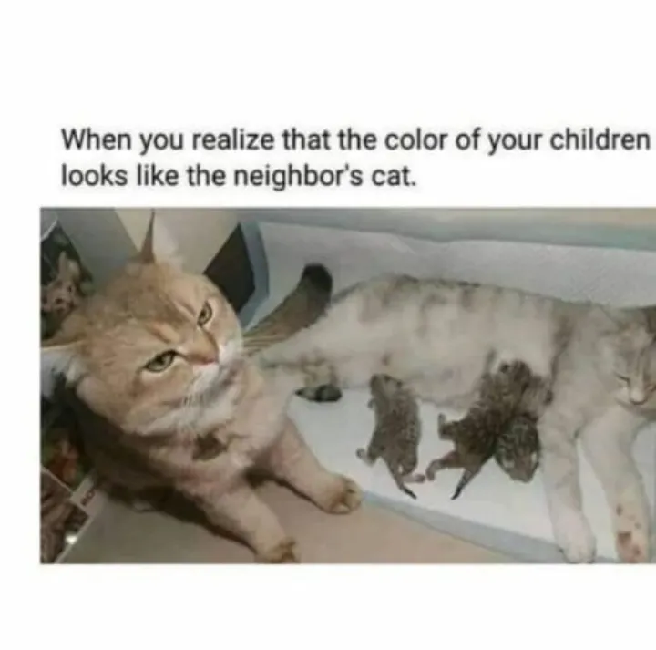 Very much funny