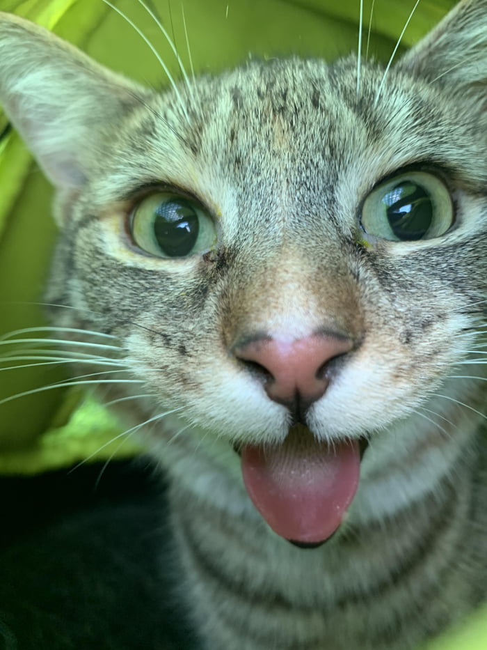 Wazzzzzzzzzup