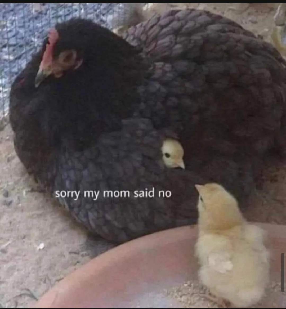 Well my mum said no