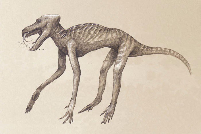 What a baboon would look like if we interpreted its appearance from it&rsquo;s bones like we do for dinosaurs