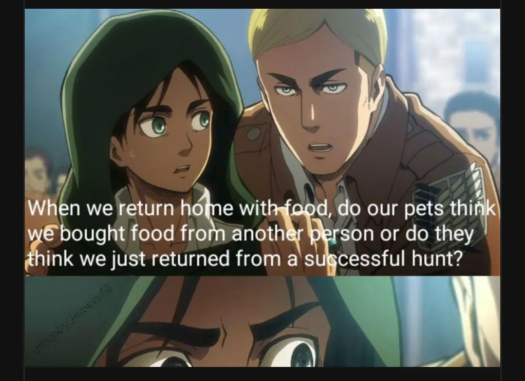 What do our pets think were doing