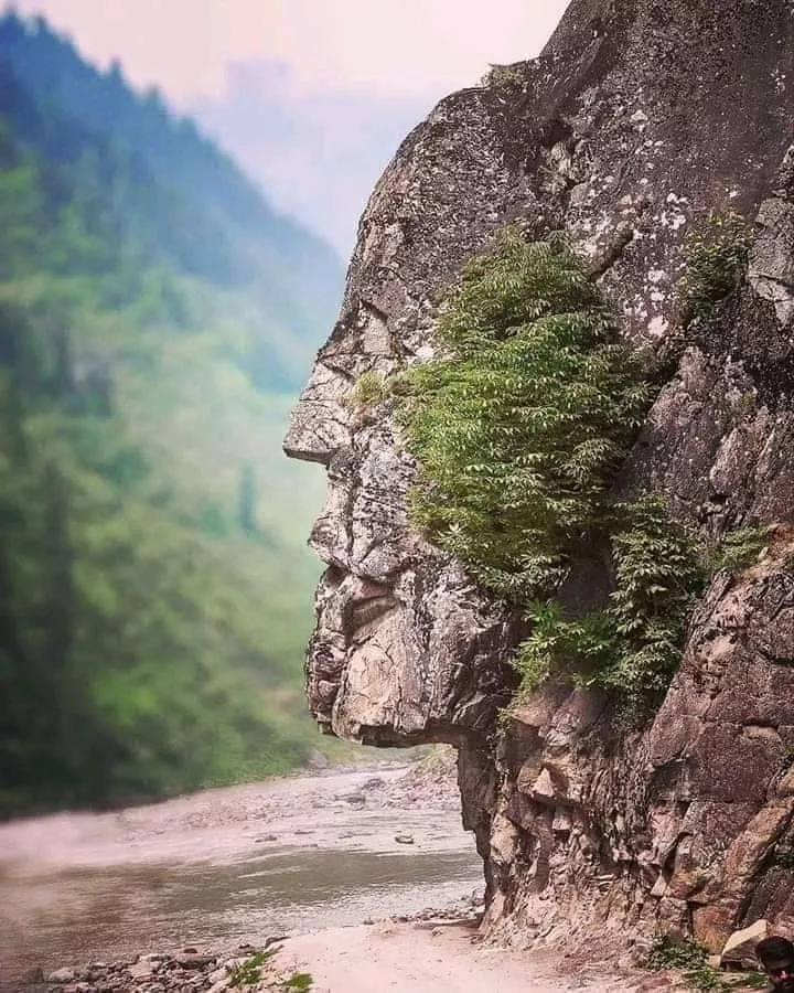 When nature do art