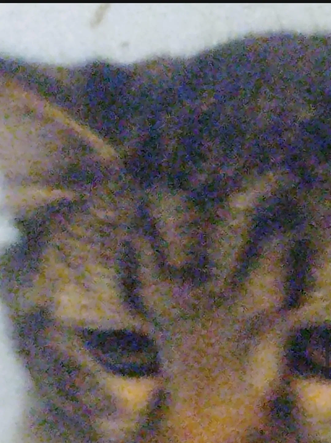 When somebody steals my muffins