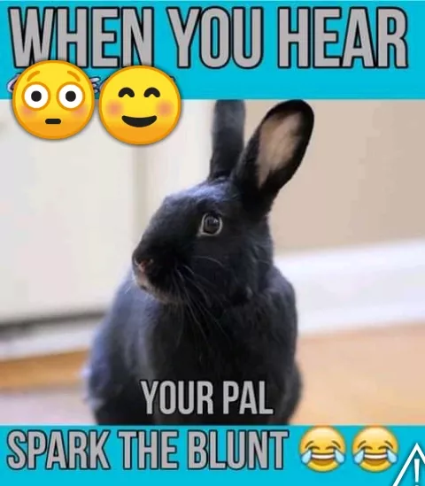 when you hear...