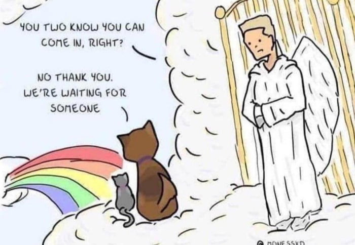 Wholesome comic