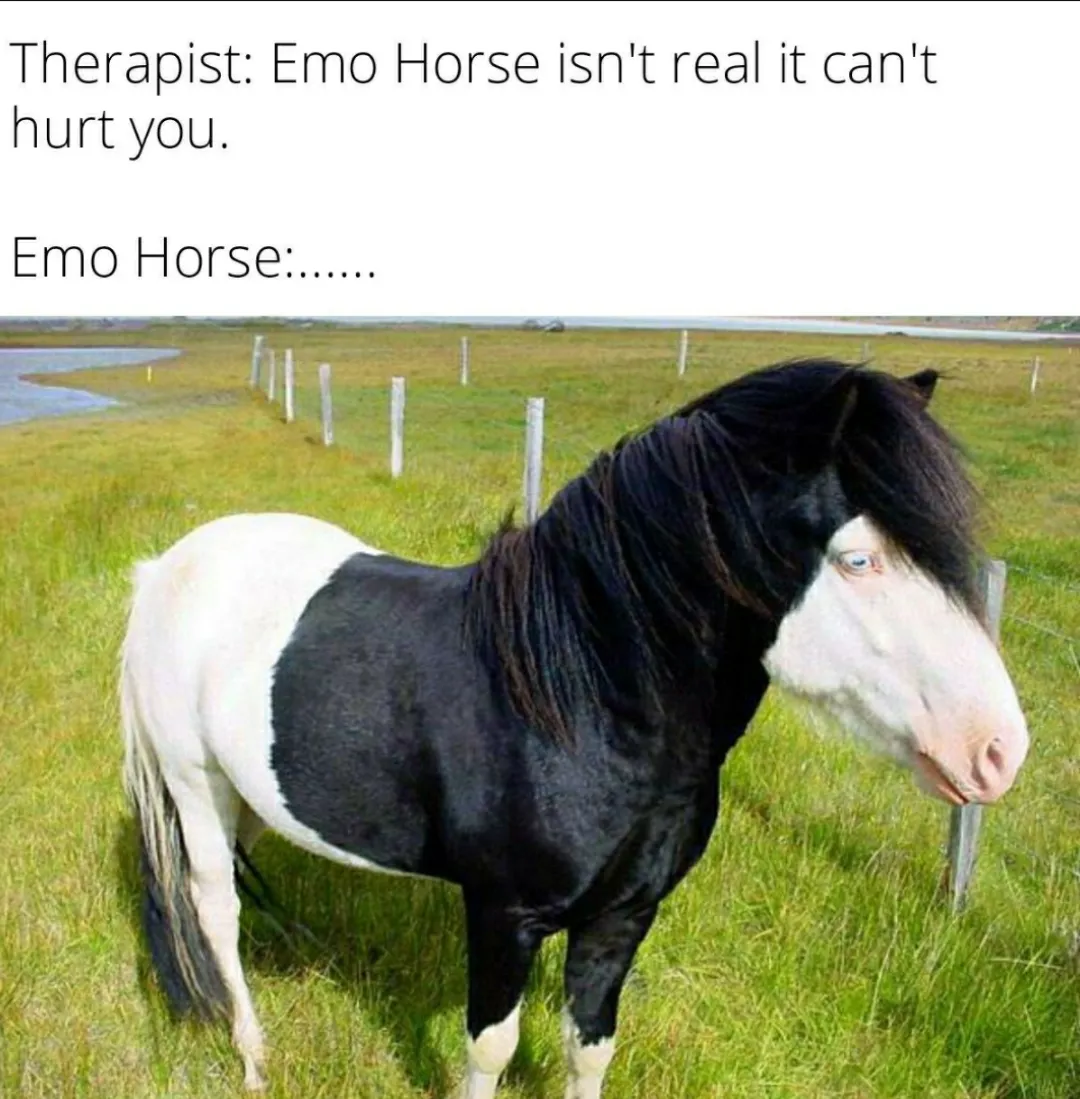 Why the long face?