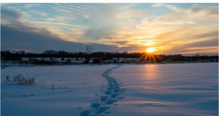 Winter sunsets