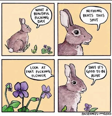 Wishing you all a good day my dudes.