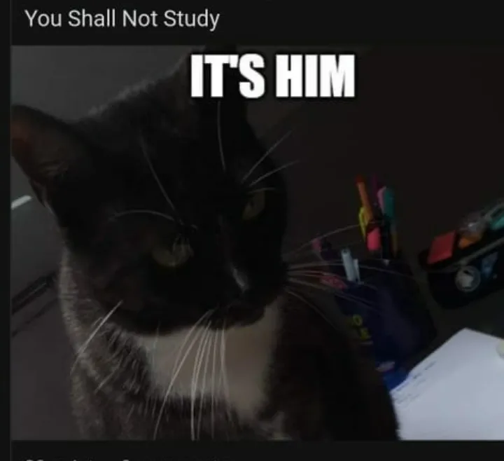 Ya you shall not study