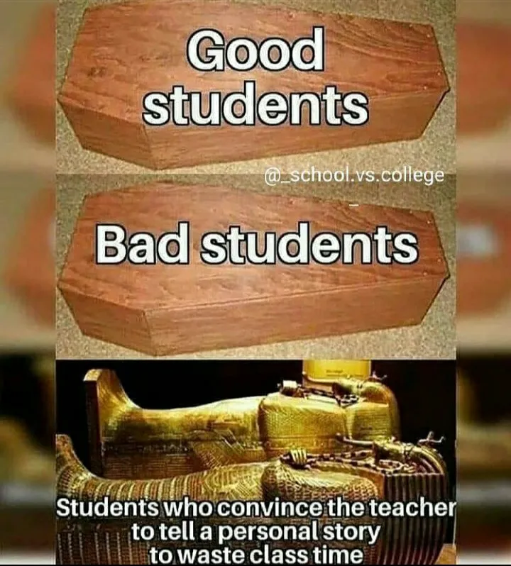 Yess they do need the gold coffin!😂