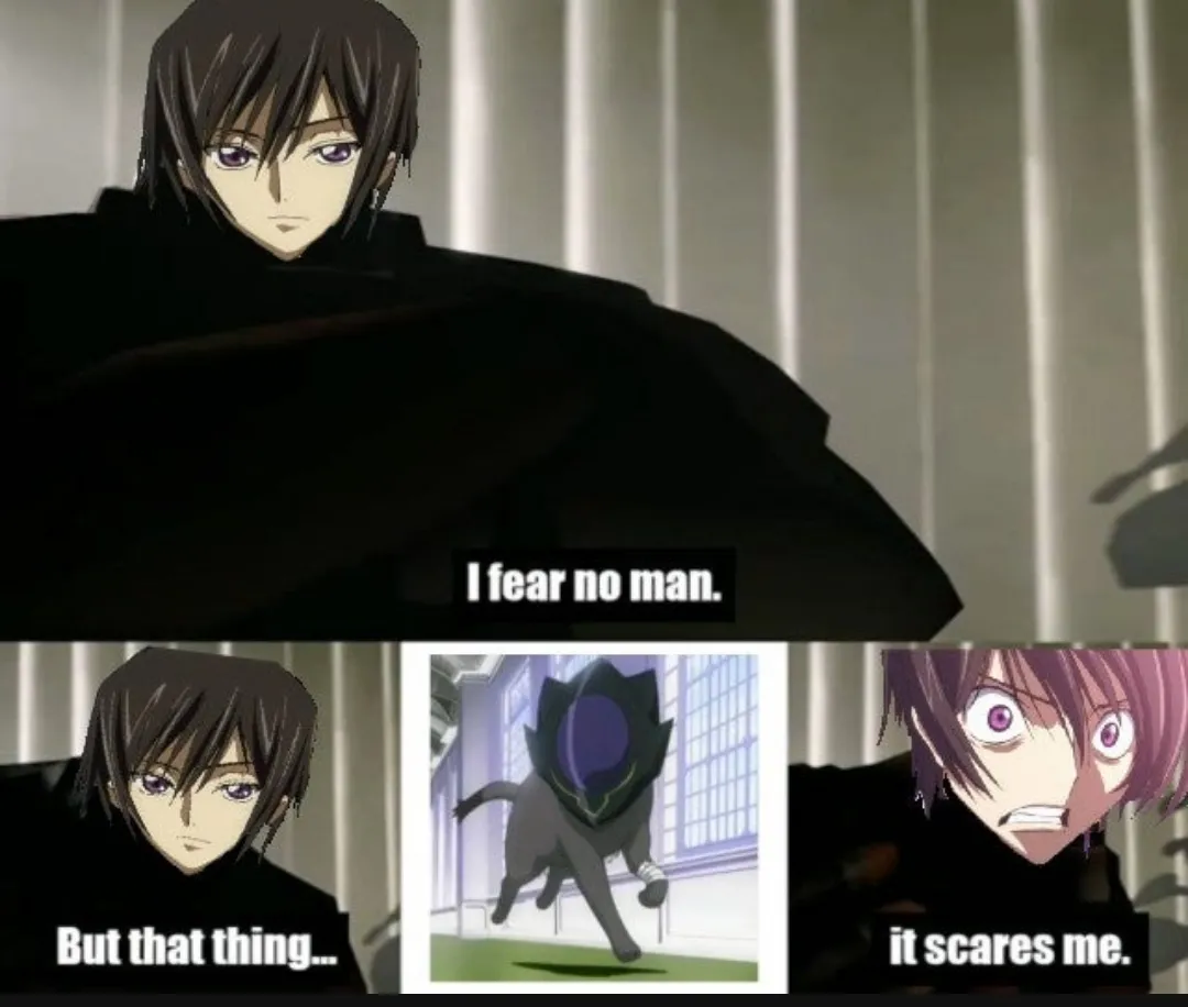 Zero neko literally
